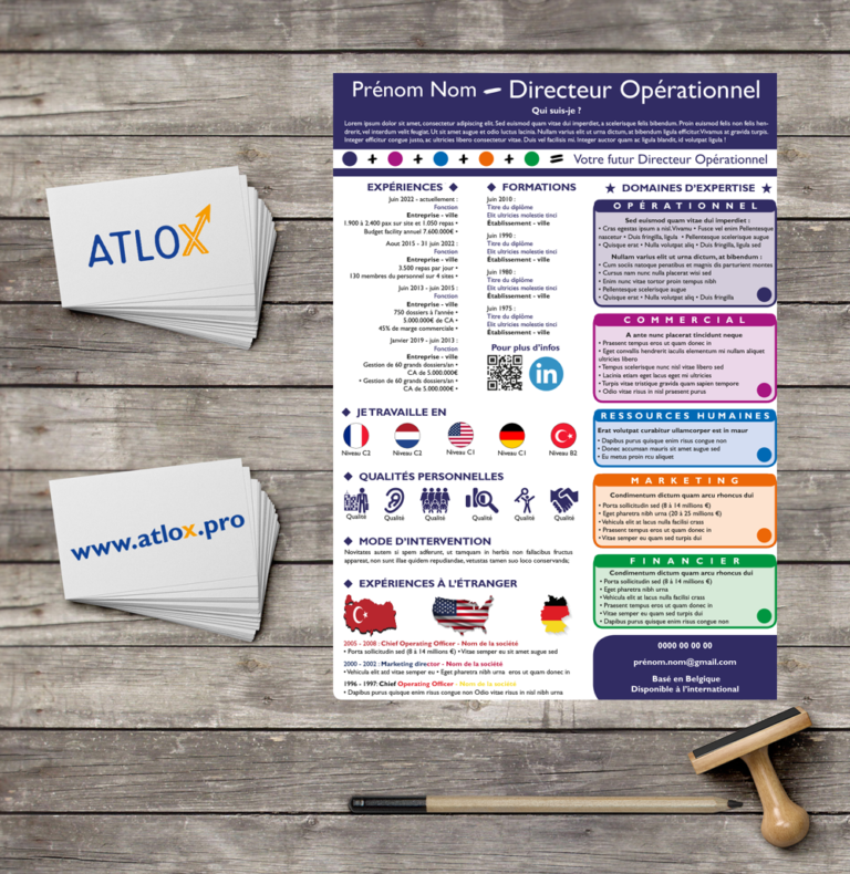Directeur Opérationnel